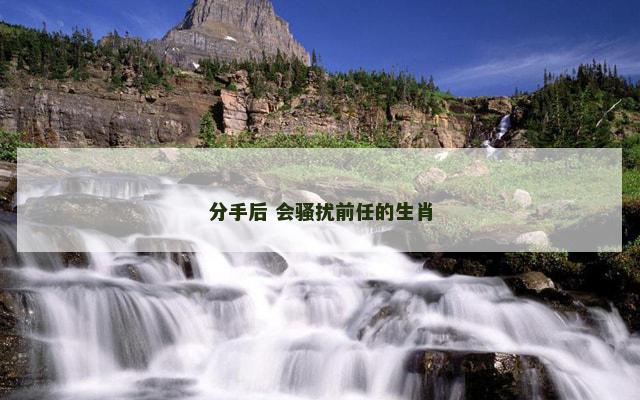 分手后 会骚扰前任的生肖