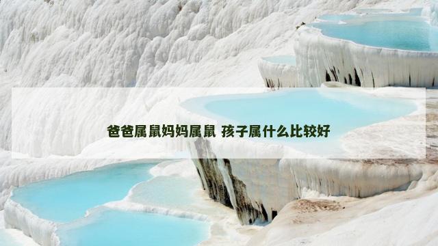 爸爸属鼠妈妈属鼠 孩子属什么比较好