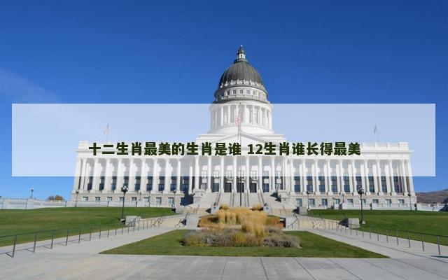 十二生肖最美的生肖是谁 12生肖谁长得最美