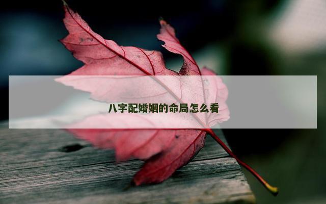 八字配婚姻的命局怎么看