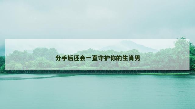 分手后还会一直守护你的生肖男