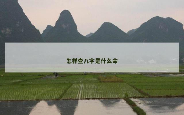 怎样查八字是什么命