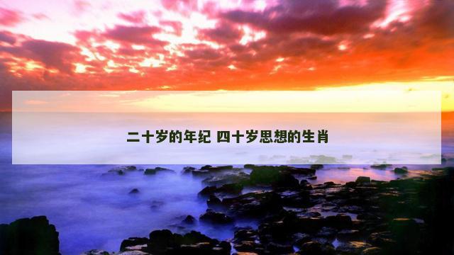 二十岁的年纪 四十岁思想的生肖