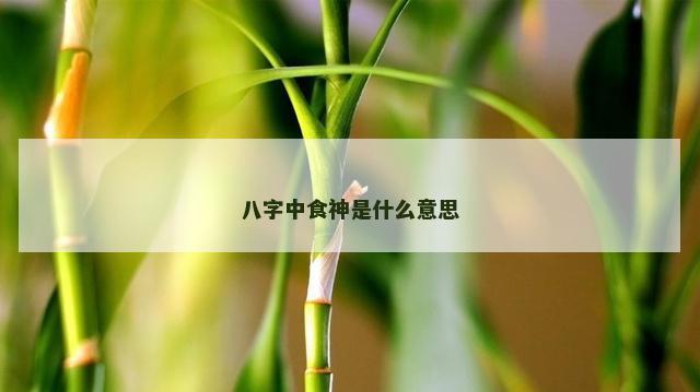 八字中食神是什么意思