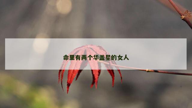 命里有两个华盖星的女人