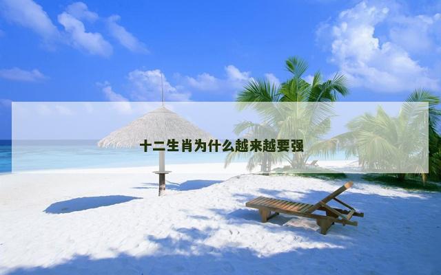 十二生肖为什么越来越要强
