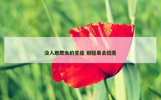 没人敢欺负的星座 别轻易去招惹