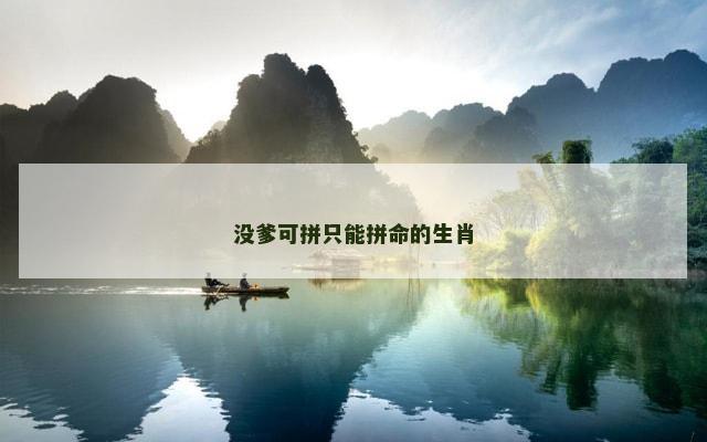 没爹可拼只能拼命的生肖