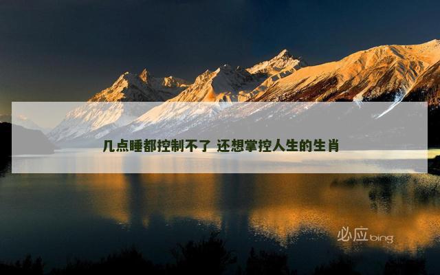 几点睡都控制不了 还想掌控人生的生肖