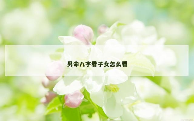 男命八字看子女怎么看
