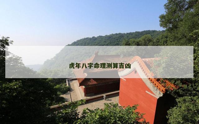 虎年八字命理测算吉凶