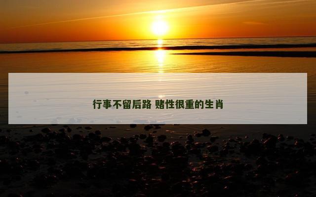 行事不留后路 赌性很重的生肖