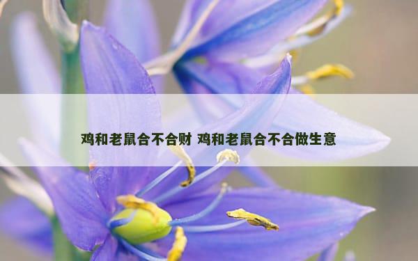 鸡和老鼠合不合财 鸡和老鼠合不合做生意