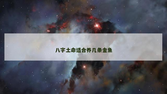 八字土命适合养几条金鱼