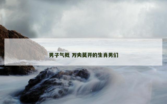 男子气概 万夫莫开的生肖男们