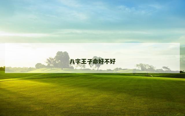 八字王子命好不好