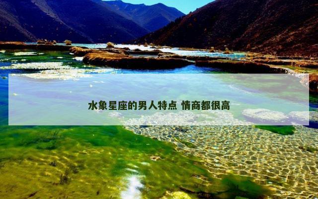 水象星座的男人特点 情商都很高