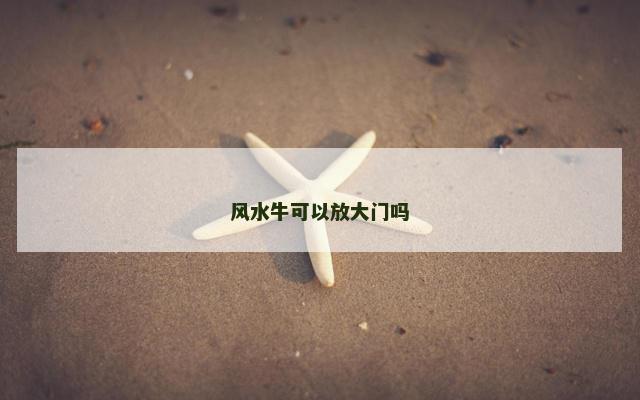 风水牛可以放大门吗