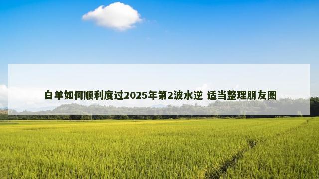 白羊如何顺利度过2025年第2波水逆 适当整理朋友圈