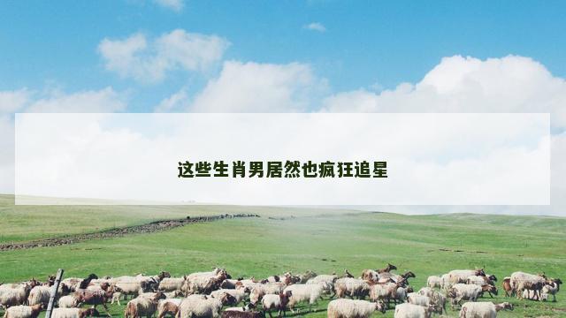 这些生肖男居然也疯狂追星