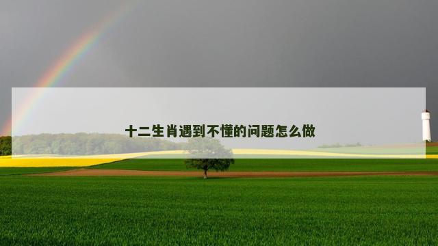 十二生肖遇到不懂的问题怎么做