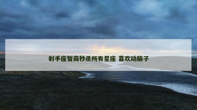 射手座智商秒杀所有星座 喜欢动脑子