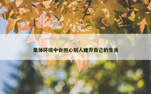 集体环境中会担心别人嫌弃自己的生肖