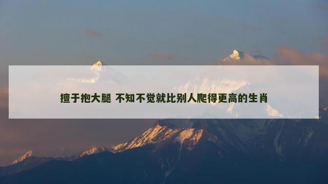 擅于抱大腿 不知不觉就比别人爬得更高的生肖