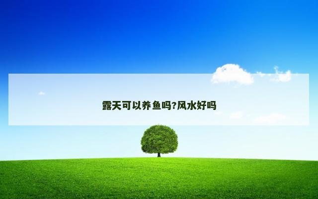 露天可以养鱼吗?风水好吗
