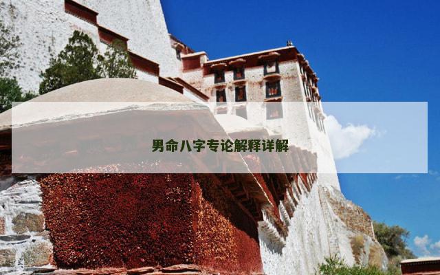 男命八字专论解释详解