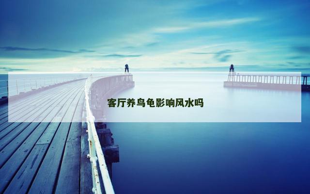客厅养鸟龟影响风水吗