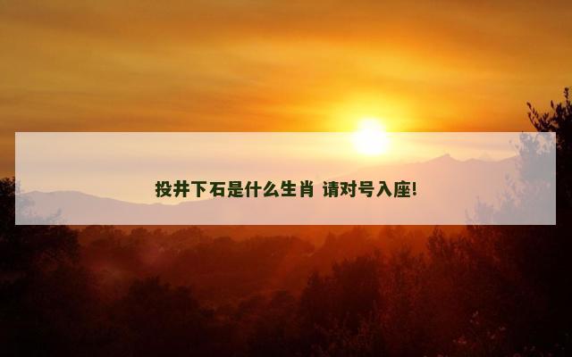 投井下石是什么生肖 请对号入座!