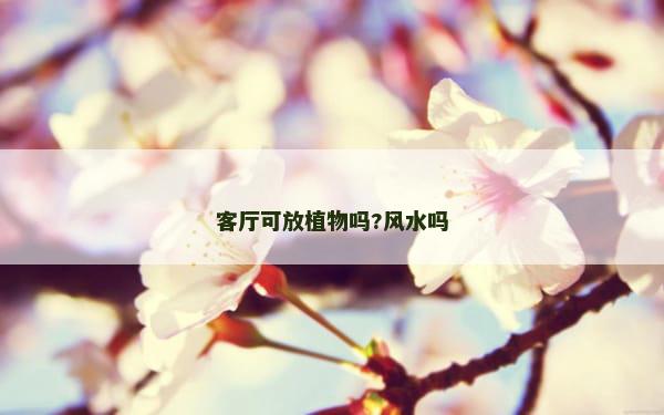 客厅可放植物吗?风水吗
