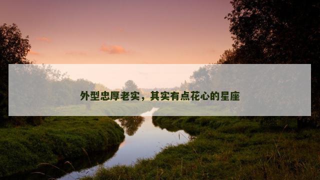 外型忠厚老实，其实有点花心的星座