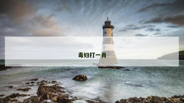 毒妇打一肖