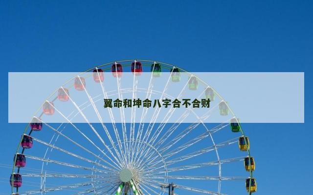 翼命和坤命八字合不合财