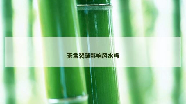 茶盘裂缝影响风水吗