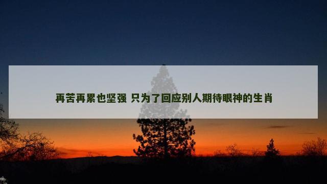再苦再累也坚强 只为了回应别人期待眼神的生肖