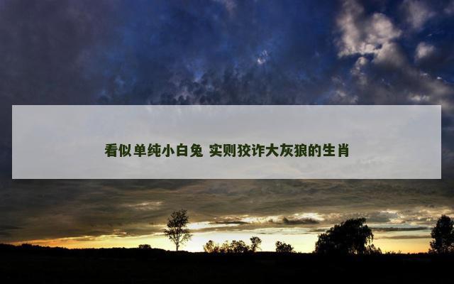 看似单纯小白兔 实则狡诈大灰狼的生肖