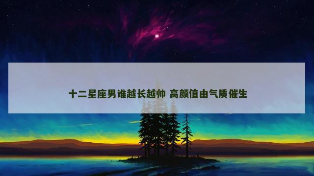十二星座男谁越长越帅 高颜值由气质催生