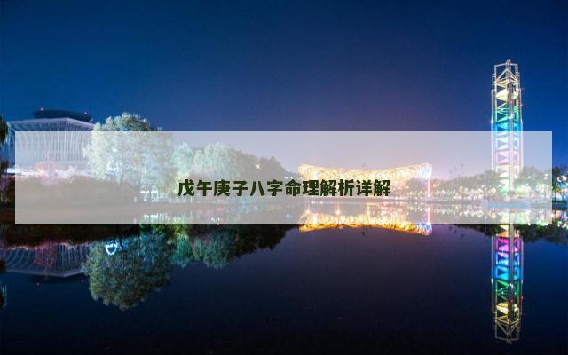 戊午庚子八字命理解析详解