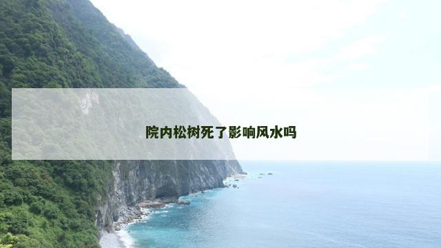 院内松树死了影响风水吗