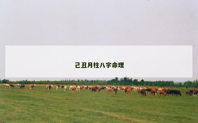 己丑月柱八字命理