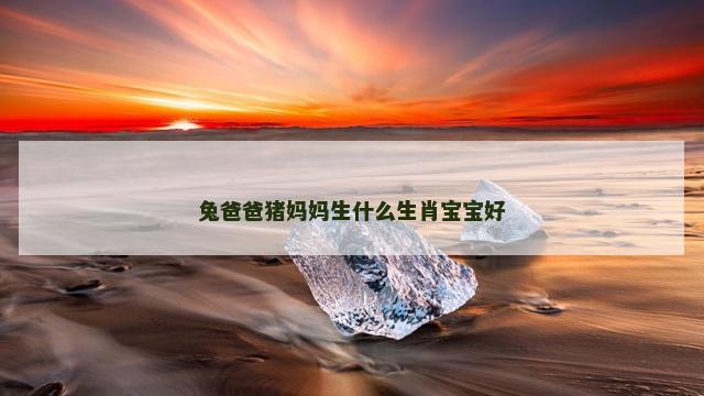 兔爸爸猪妈妈生什么生肖宝宝好