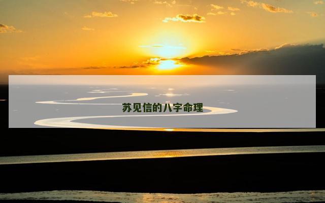 苏见信的八字命理