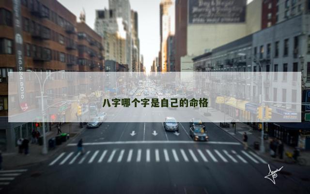 八字哪个字是自己的命格