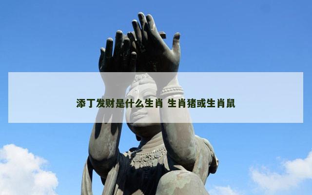 添丁发财是什么生肖 生肖猪或生肖鼠