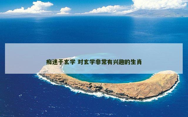 痴迷于玄学 对玄学非常有兴趣的生肖