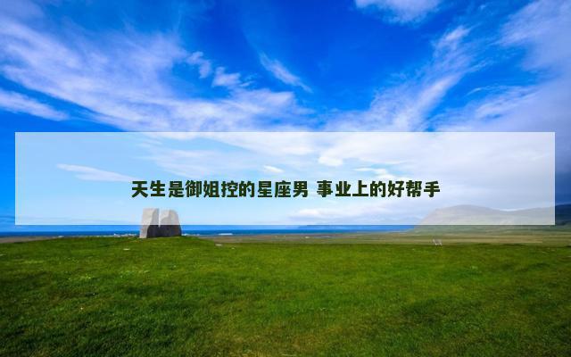 天生是御姐控的星座男 事业上的好帮手