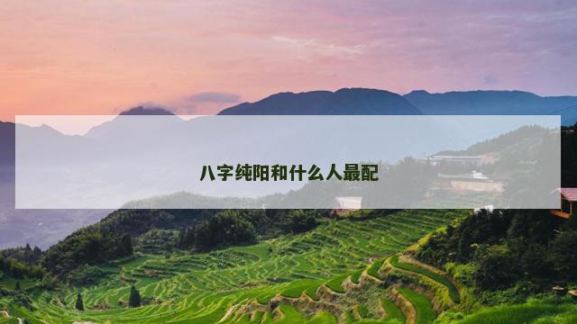 八字纯阳和什么人最配
